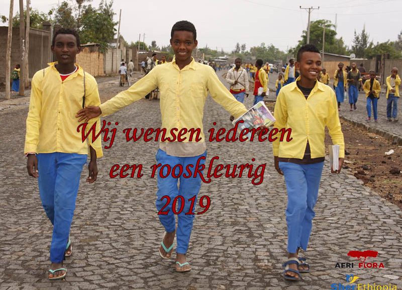 Kerstgroet Afriflora 2019