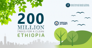 trees, 300.000 trees planted by Afriflora in collaboration with partners