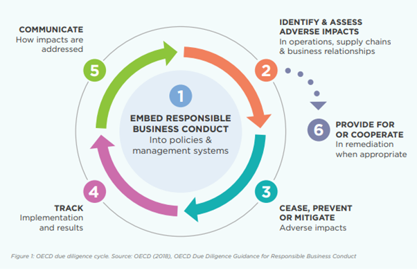 Embed responsible business conduct - AfriFlora tuinbouw