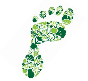 carbon footprinting, Carbon Footprinting