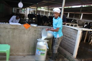 van dijk flora, Afriflora Sher and Van Dijk Flora/ Dutch Flower Foundation join forces and start School Milk Project in Ethiopia