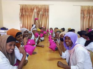 Mela for Her, Mela for Her: jonge meisjes ondersteunen met duurzame menstruatieoplossingen