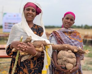 , Sher School educational vegetable garden and experience sharing day
