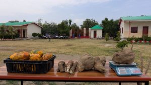 , Sher School educational vegetable garden and experience sharing day