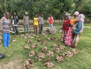 , Sher School educational vegetable garden and experience sharing day